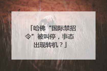 哈佛“国际禁招令”被叫停，事态出现转机？