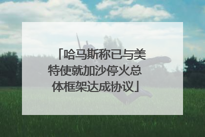 哈马斯称已与美特使就加沙停火总体框架达成协议