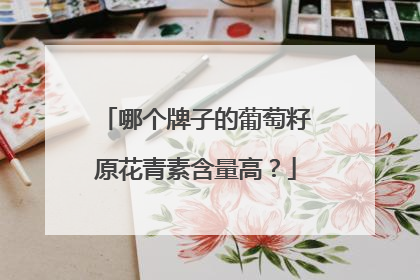 哪个牌子的葡萄籽原花青素含量高？