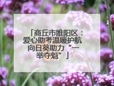 商丘市睢阳区：爱心助考温暖护航 向日葵助力“一举夺魁”