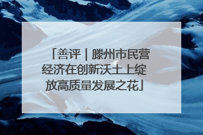 善评｜滕州市民营经济在创新沃土上绽放高质量发展之花