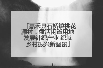 嘉禾县石桥镇桃花源村：盘活闲置用地发展针织产业 织就乡村振兴新图景