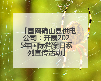 国网确山县供电公司：开展2025年国际档案日系列宣传活动