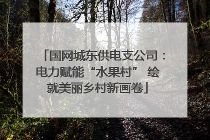国网城东供电支公司：电力赋能“水果村” 绘就美丽乡村新画卷