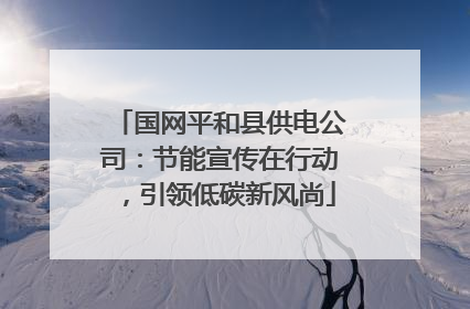 国网平和县供电公司：节能宣传在行动，引领低碳新风尚