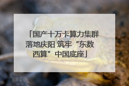 国产十万卡算力集群落地庆阳 筑牢“东数西算”中国底座