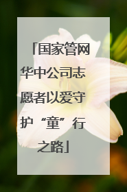 国家管网华中公司志愿者以爱守护“童”行之路