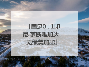 国足0∶1印尼 梦断雅加达 无缘美加墨