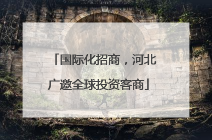 国际化招商，河北广邀全球投资客商