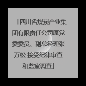 四川省煤炭产业集团有限责任公司原党委委员、副总经理张万松 接受纪律审查和监察调查