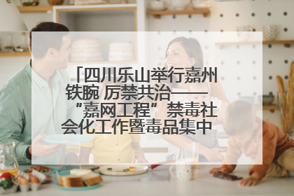 四川乐山举行嘉州铁腕 厉禁共治——“嘉网工程”禁毒社会化工作暨毒品集中销毁启动仪式