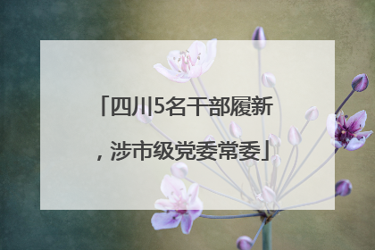 四川5名干部履新，涉市级党委常委