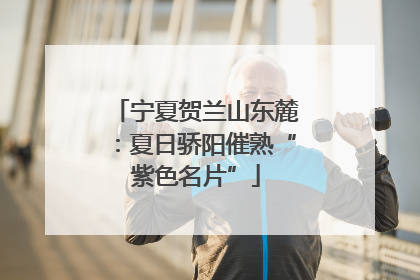 宁夏贺兰山东麓：夏日骄阳催熟“紫色名片”