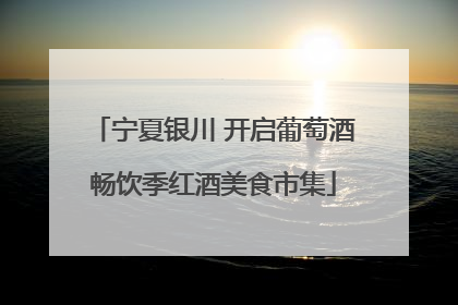 宁夏银川 开启葡萄酒畅饮季红酒美食市集