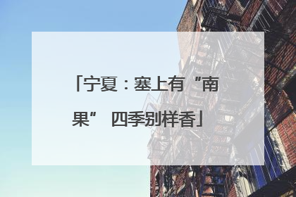 宁夏：塞上有“南果” 四季别样香