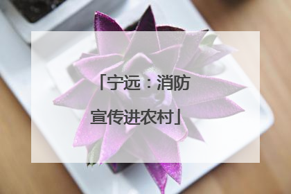 宁远：消防宣传进农村