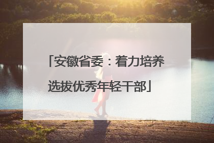 安徽省委：着力培养选拔优秀年轻干部