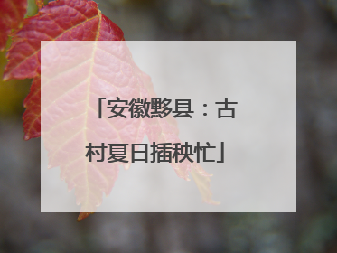 安徽黟县：古村夏日插秧忙