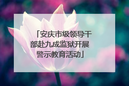 安庆市级领导干部赴九成监狱开展警示教育活动