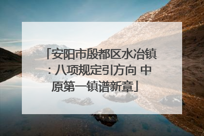 安阳市殷都区水冶镇：八项规定引方向 中原第一镇谱新章