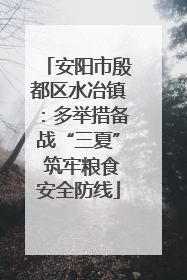 安阳市殷都区水冶镇：多举措备战“三夏” 筑牢粮食安全防线