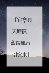 宜章县天塘镇：蓝莓飘香引客来