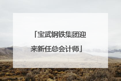 宝武钢铁集团迎来新任总会计师