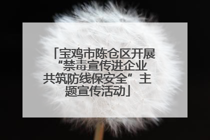 宝鸡市陈仓区开展“禁毒宣传进企业 共筑防线保安全”主题宣传活动