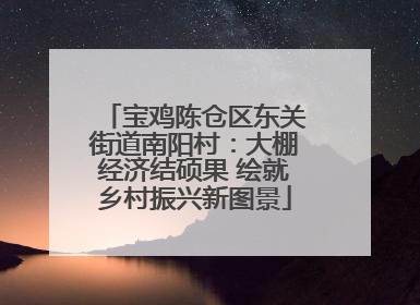 宝鸡陈仓区东关街道南阳村：大棚经济结硕果 绘就乡村振兴新图景