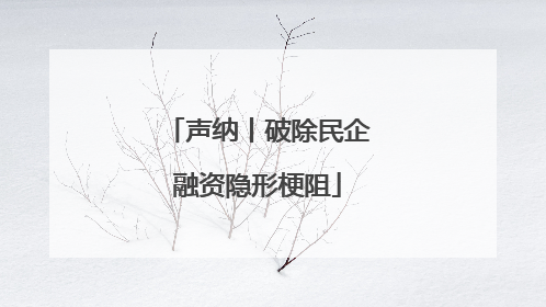 声纳丨破除民企融资隐形梗阻