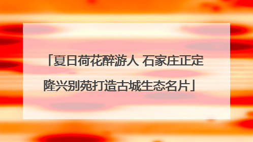 夏日荷花醉游人 石家庄正定隆兴别苑打造古城生态名片