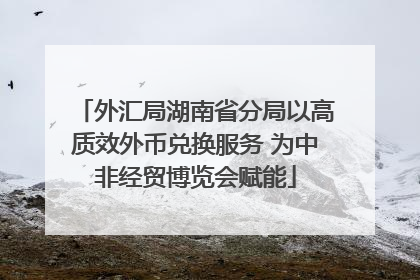 外汇局湖南省分局以高质效外币兑换服务 为中非经贸博览会赋能