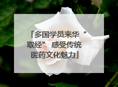 多国学员来华“取经” 感受传统医药文化魅力