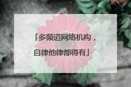 多频道网络机构，自律他律都得有