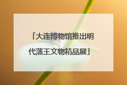 大连博物馆推出明代藩王文物精品展