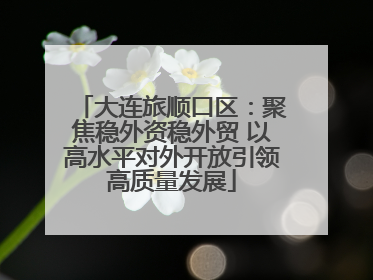 大连旅顺口区：聚焦稳外资稳外贸 以高水平对外开放引领高质量发展