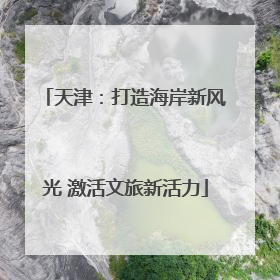 天津：打造海岸新风光 激活文旅新活力