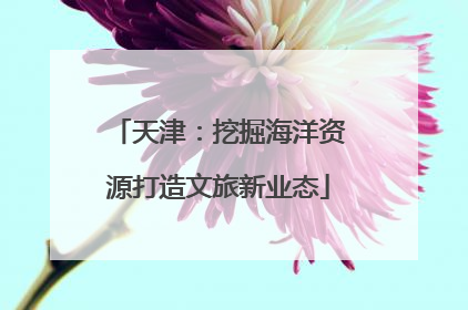 天津：挖掘海洋资源打造文旅新业态