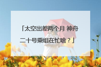 太空出差两个月 神舟二十号乘组在忙啥？