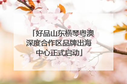 好品山东横琴粤澳深度合作区品牌出海中心正式启动