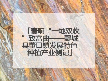 奏响“一地双收”致富曲——鄄城县董口镇发展特色种植产业侧记