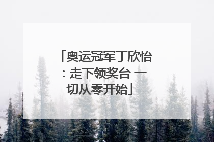 奥运冠军丁欣怡：走下领奖台 一切从零开始