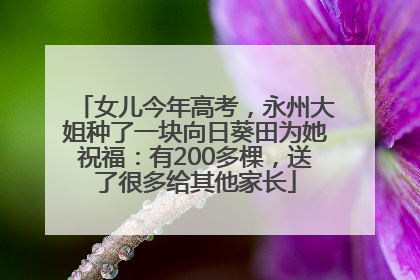 女儿今年高考，永州大姐种了一块向日葵田为她祝福：有200多棵，送了很多给其他家长
