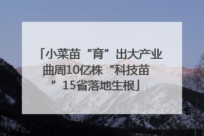 小菜苗“育”出大产业 曲周10亿株“科技苗”15省落地生根
