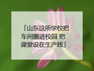 山东这所学校把车间搬进校园 把课堂设在生产线