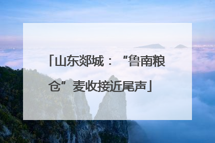 山东郯城：“鲁南粮仓”麦收接近尾声