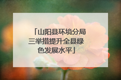 山阳县环境分局三举措提升全县绿色发展水平
