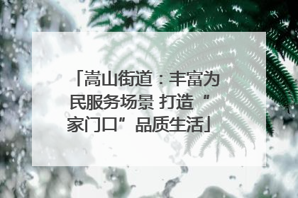 嵩山街道：丰富为民服务场景 打造“家门口”品质生活