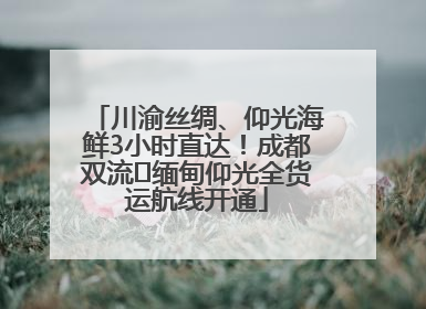 川渝丝绸、仰光海鲜3小时直达！成都双流⇌缅甸仰光全货运航线开通