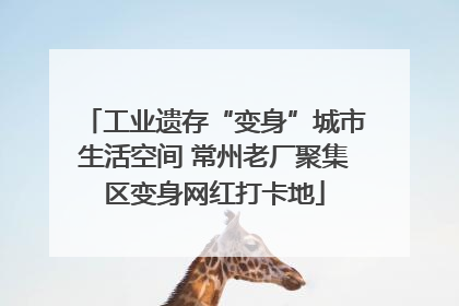 工业遗存“变身”城市生活空间 常州老厂聚集区变身网红打卡地
